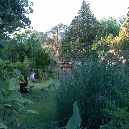Baha-ammes Apartmán *