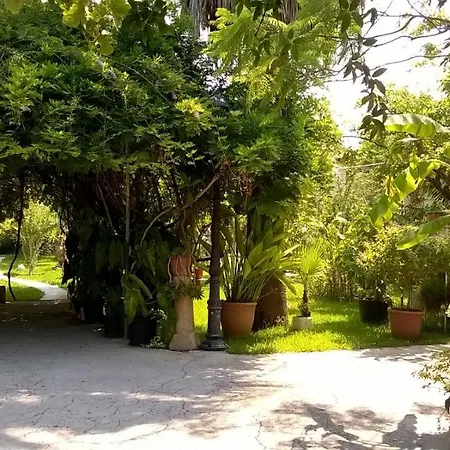 Apartmán Baha-ammes *