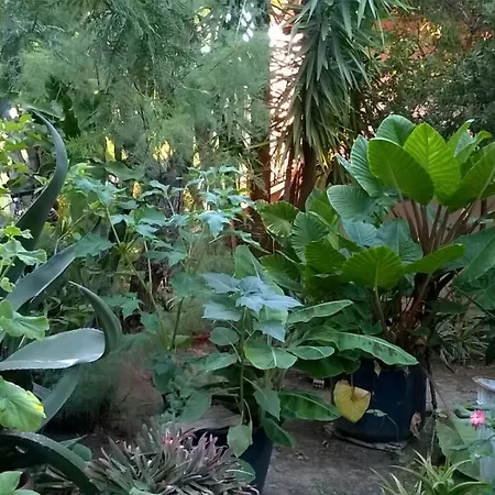 Baha-ammes Apartmán