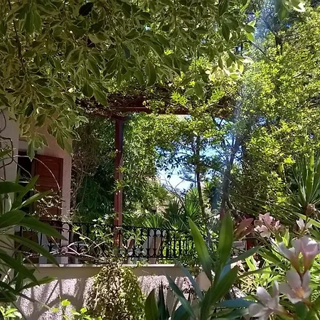 Baha-ammes Apartmán *