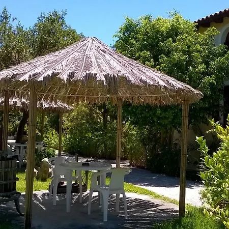 Baha-ammes * Svoronata