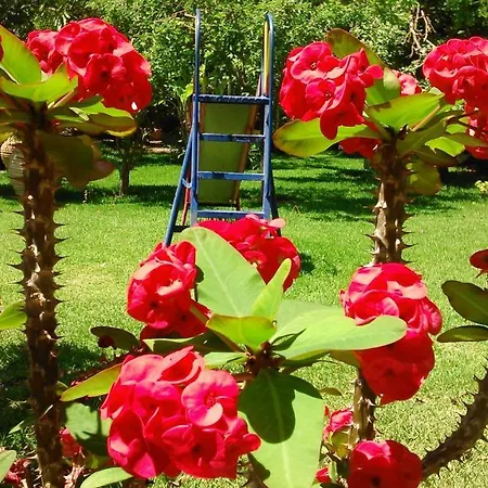 Baha-ammes Appartement