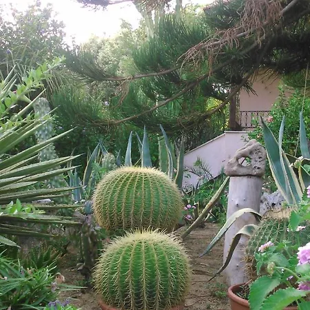 Апартаменты Baha-ammes Свороната