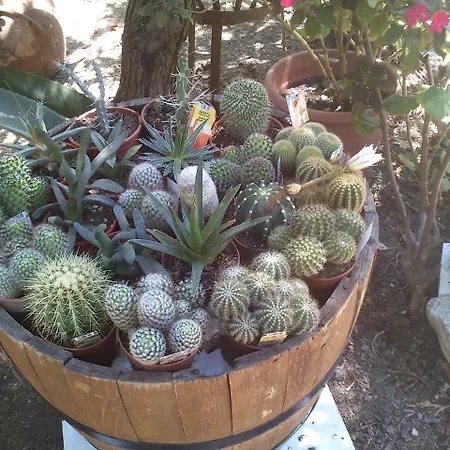 Baha-ammes Апартаменты