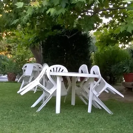 Baha-ammes * Свороната