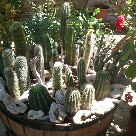 Appartement Baha-ammes *