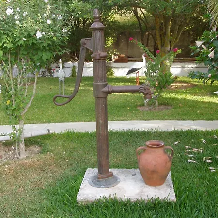 Baha-ammes * Свороната