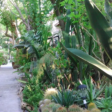 Baha-ammes Appartement Svoronata