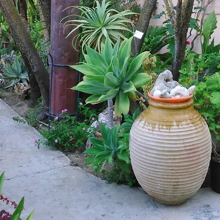 Baha-ammes * Свороната