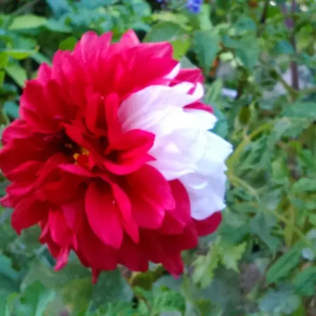 Baha-ammes Appartement Svoronata