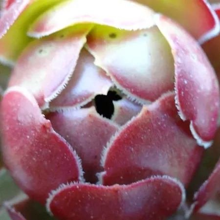 Апартаменты Baha-ammes