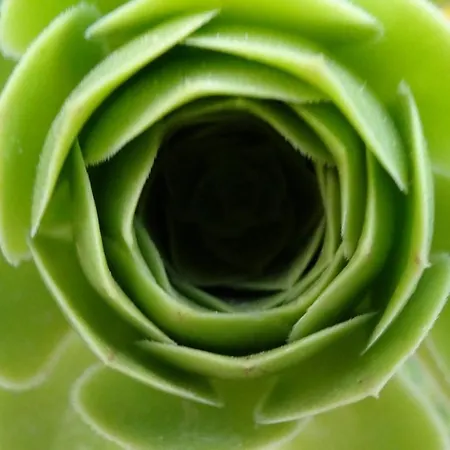 Апартаменты Baha-ammes