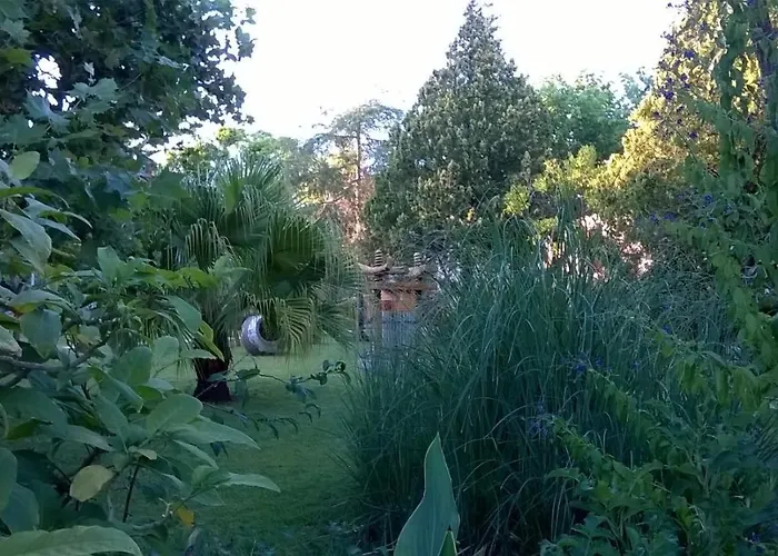 Baha-ammes Lägenhet *