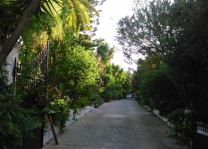 Baha-ammes Σβορωνάτα