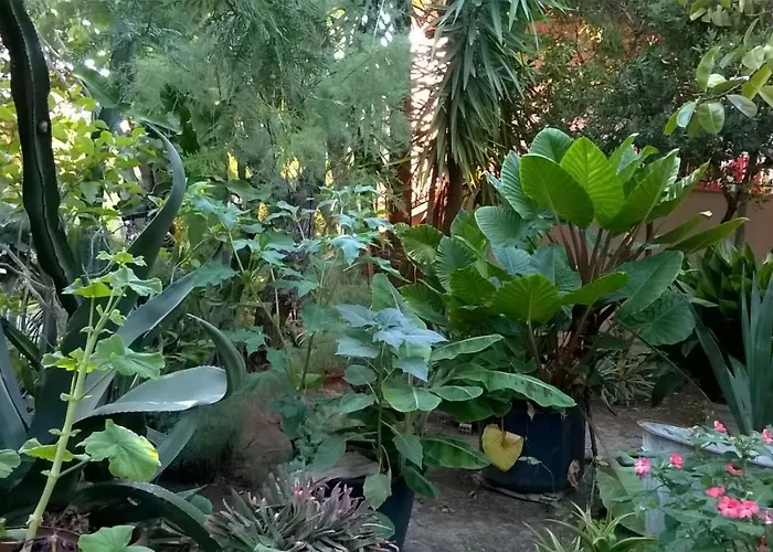 Baha-ammes Διαμέρισμα