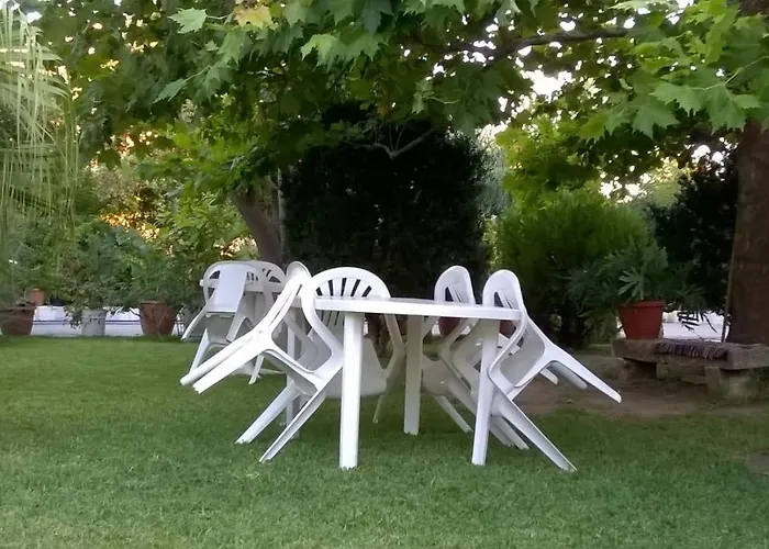 Baha-ammes * Σβορωνάτα