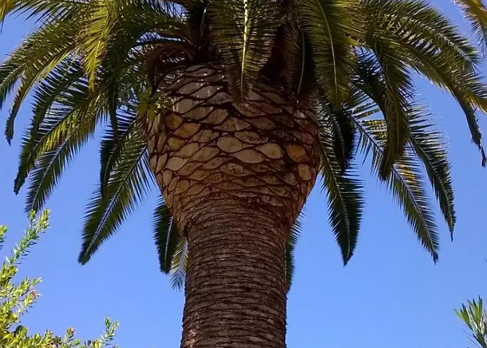 Baha-ammes Lägenhet Svoronata
