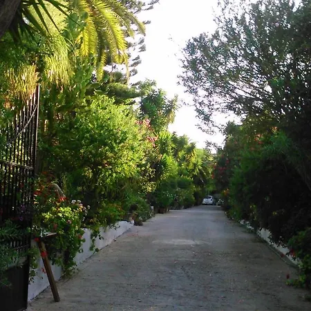 Baha-ammes 斯沃伦塔