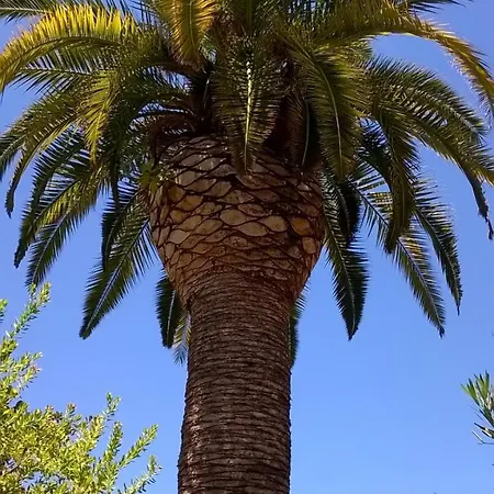 Baha-ammes 公寓 斯沃伦塔