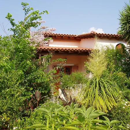 Baha-ammes * 斯沃伦塔